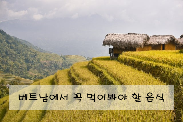 베트남에서 꼭 먹어봐야 할 음식