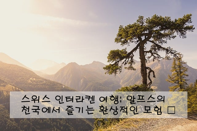 스위스 인터라켄 여행: 알프스의 천국에서 즐기는 환상적인 모험 🏔️