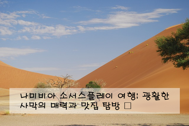 나미비아 소서스플레이 여행: 광활한 사막의 매력과 맛집 탐방 🏜️