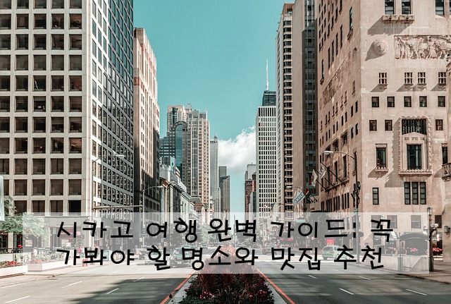 시카고 여행 완벽 가이드: 꼭 가봐야 할 명소와 맛집 추천 ️