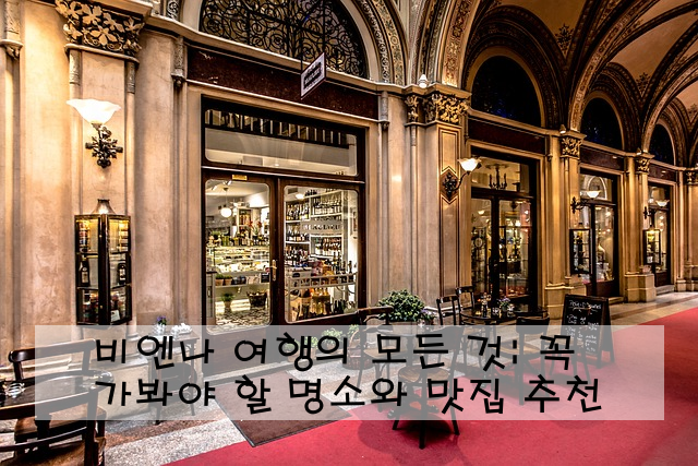 비엔나 여행의 모든 것: 꼭 가봐야 할 명소와 맛집 추천