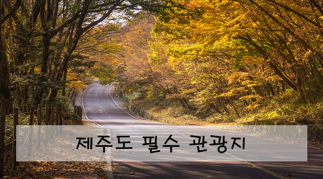 제주도 필수 관광지