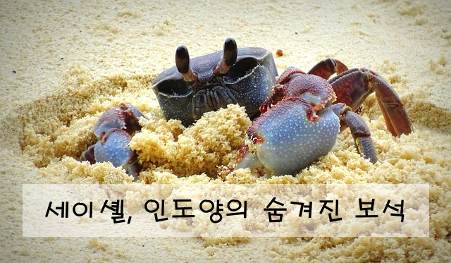 세이셸, 인도양의 숨겨진 보석