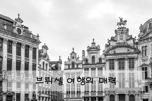 브뤼셀 여행의 매력