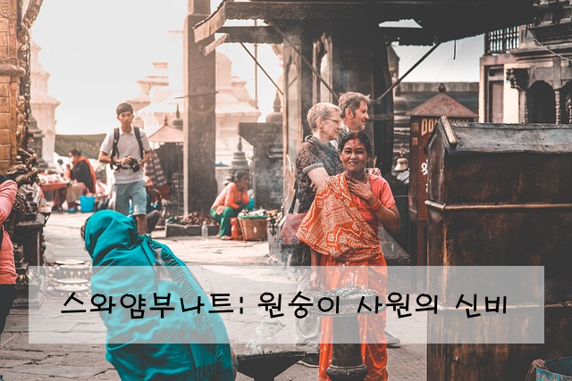 스와얌부나트: 원숭이 사원의 신비