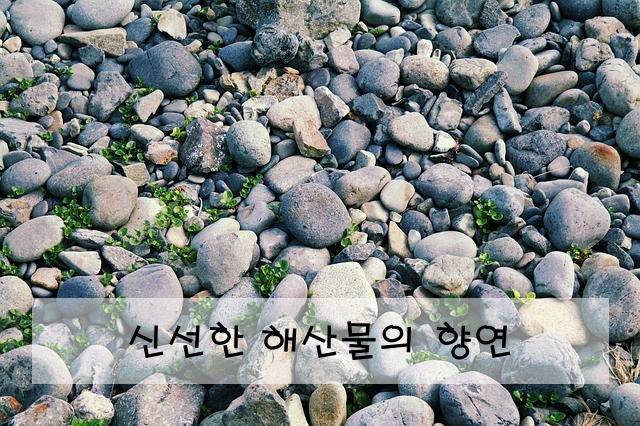 신선한 해산물의 향연