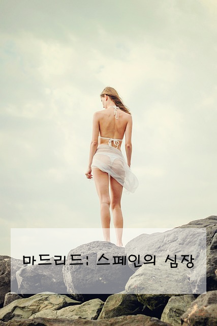 마드리드: 스페인의 심장