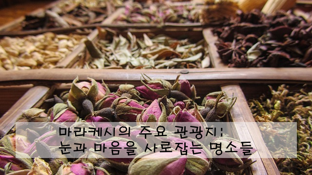 마라케시의 주요 관광지: 눈과 마음을 사로잡는 명소들