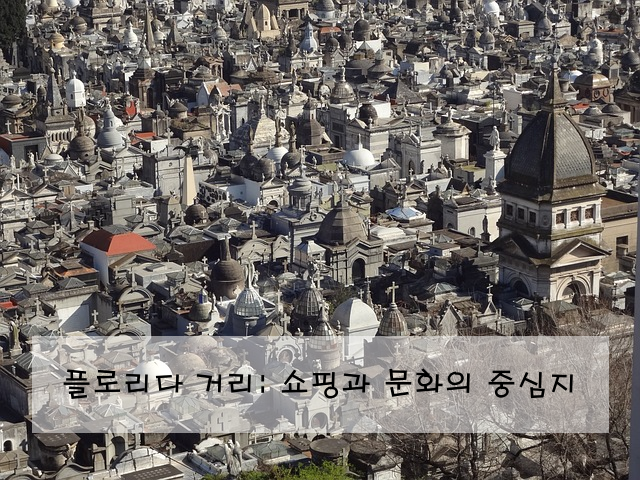 플로리다 거리: 쇼핑과 문화의 중심지