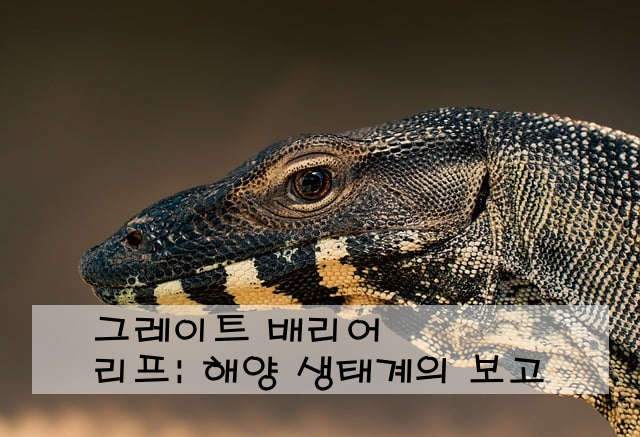 그레이트 배리어 리프: 해양 생태계의 보고