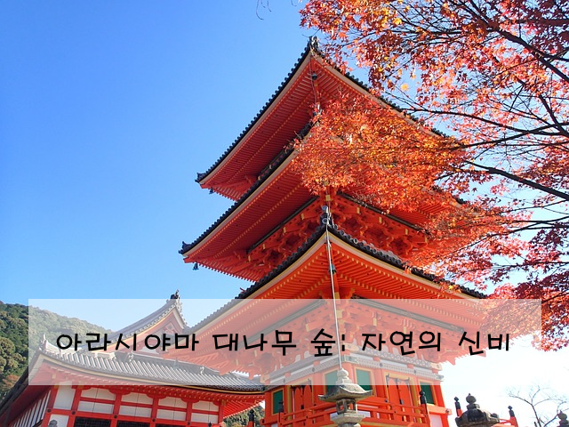 아라시야마 대나무 숲: 자연의 신비