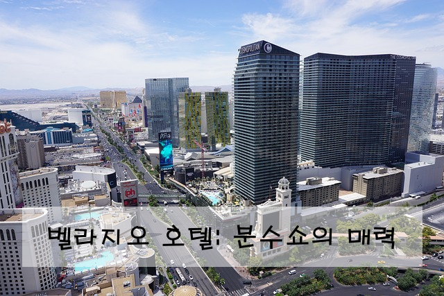 벨라지오 호텔: 분수쇼의 매력