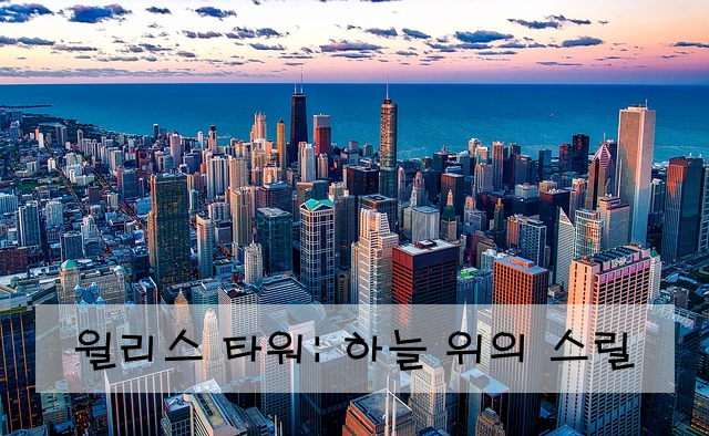 윌리스 타워: 하늘 위의 스릴