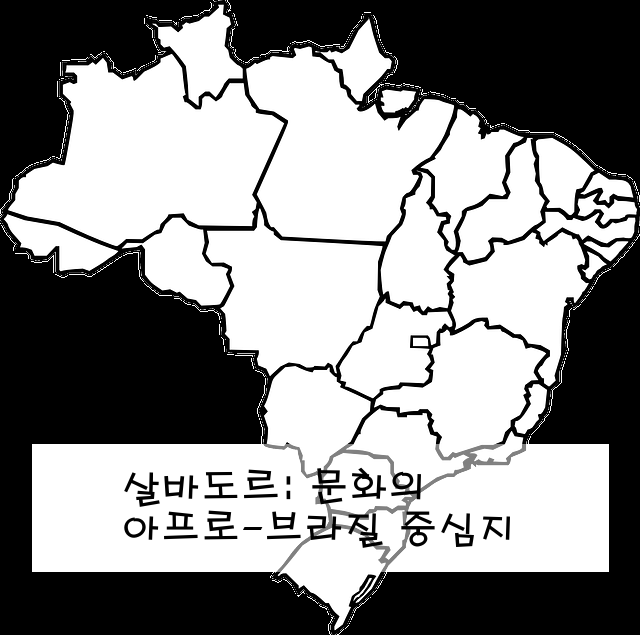 살바도르: 아프로-브라질 문화의 중심지