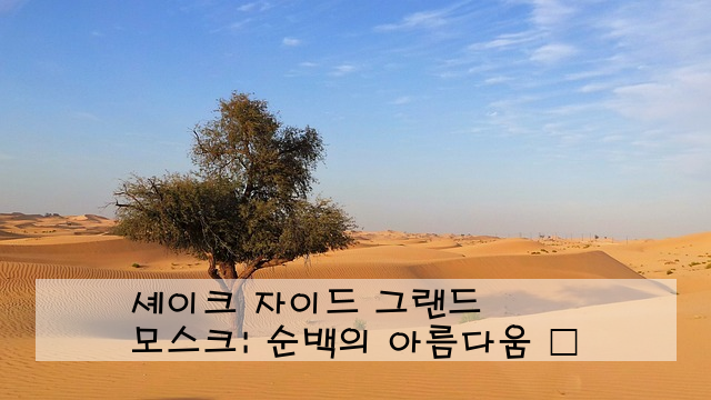 셰이크 자이드 그랜드 모스크: 순백의 아름다움 🕌