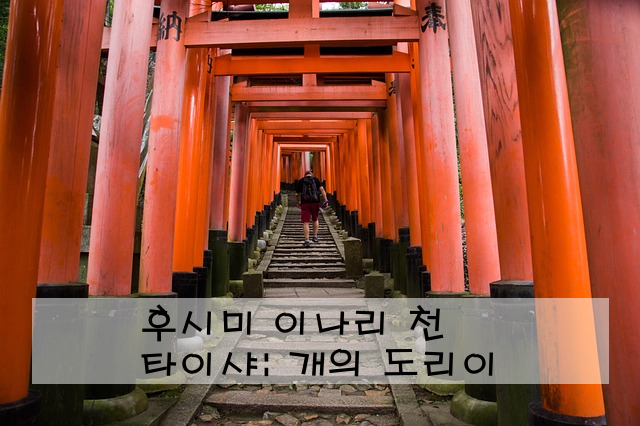 후시미 이나리 타이샤: 천 개의 도리이