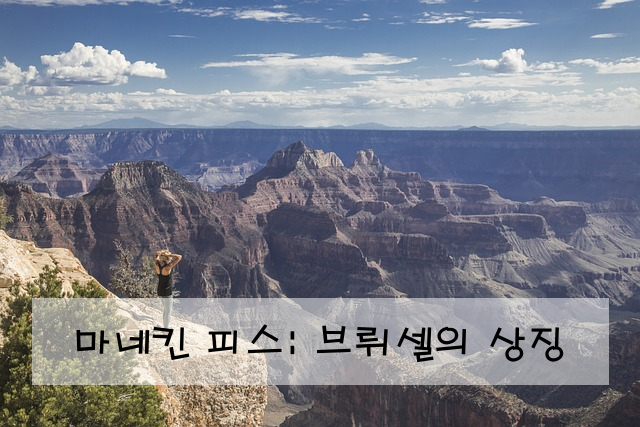 마네킨 피스: 브뤼셀의 상징