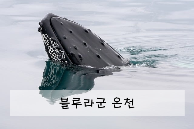블루라군 온천