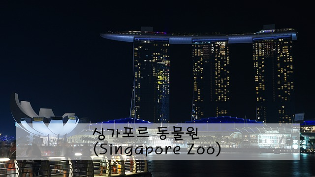 싱가포르 동물원 (Singapore Zoo)