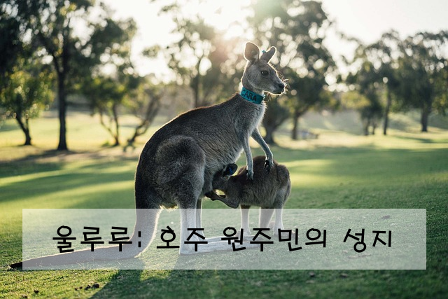 울루루: 호주 원주민의 성지