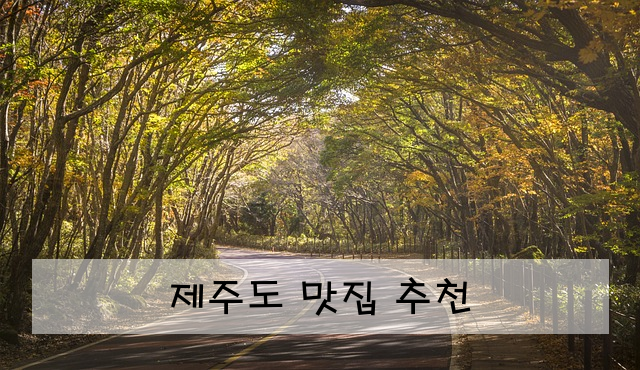 제주도 맛집 추천