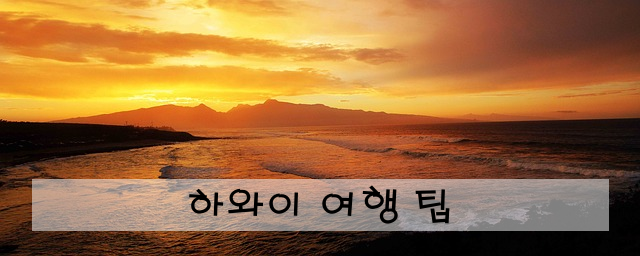 하와이 여행 팁