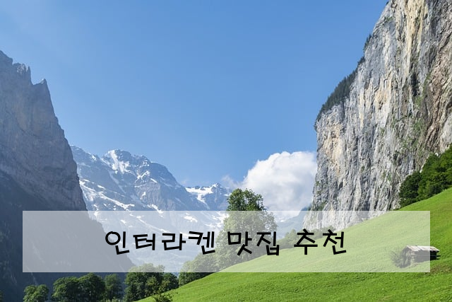 인터라켄 맛집 추천