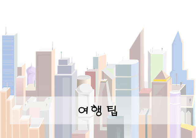 여행 팁