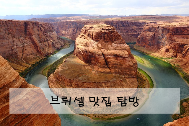 브뤼셀 맛집 탐방