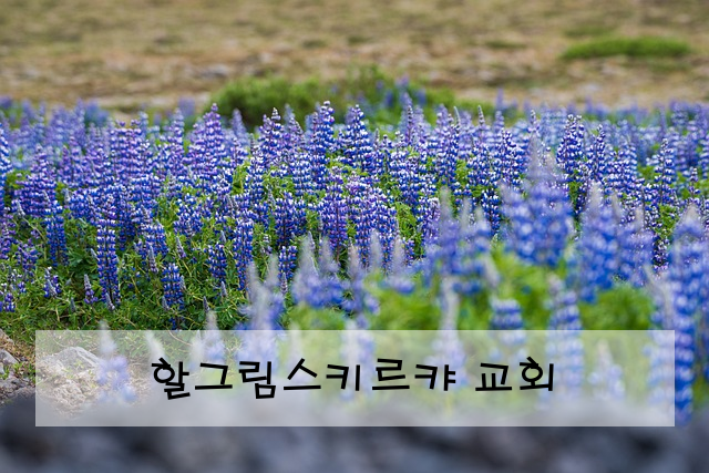 할그림스키르캬 교회