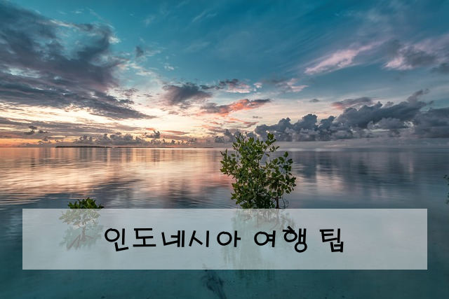 인도네시아 여행 팁