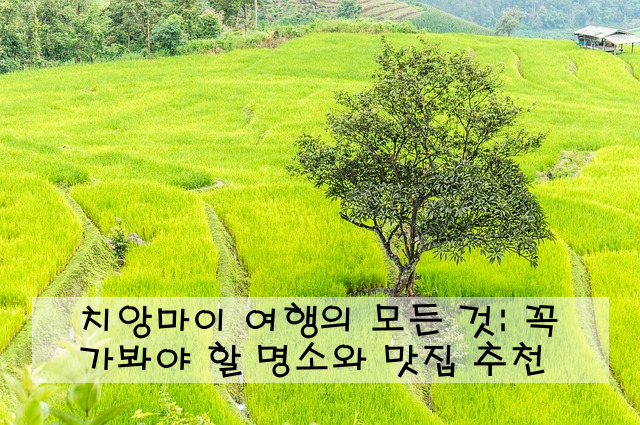 치앙마이 여행의 모든 것: 꼭 가봐야 할 명소와 맛집 추천