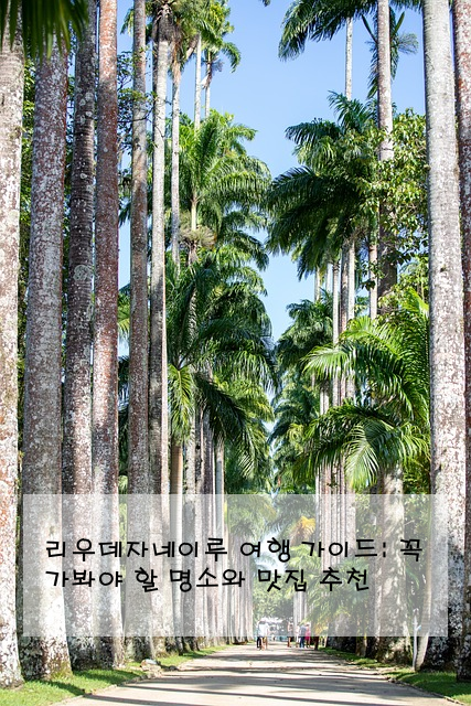 리우데자네이루 여행 가이드: 꼭 가봐야 할 명소와 맛집 추천