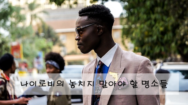 나이로비의 놓치지 말아야 할 명소들