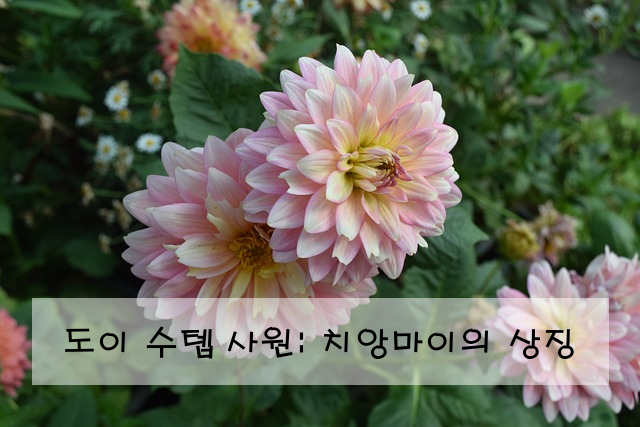 도이 수텝 사원: 치앙마이의 상징