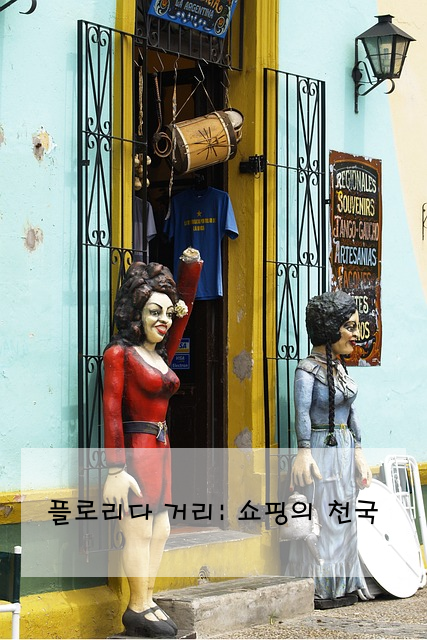 플로리다 거리: 쇼핑의 천국