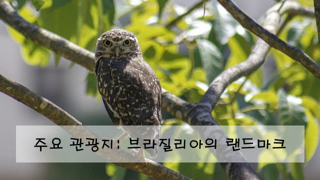주요 관광지: 브라질리아의 랜드마크