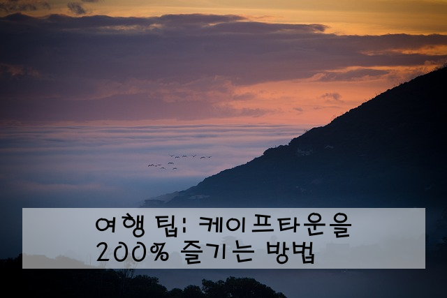 여행 팁: 케이프타운을 200% 즐기는 방법