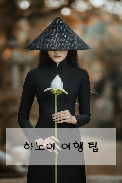 하노이 여행 팁