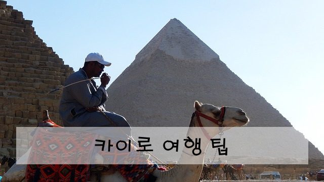 카이로 여행 팁