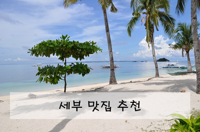 세부 맛집 추천