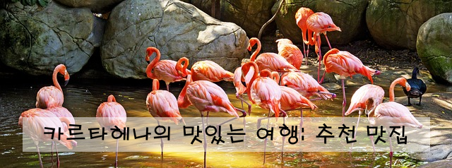 카르타헤나의 맛있는 여행: 추천 맛집