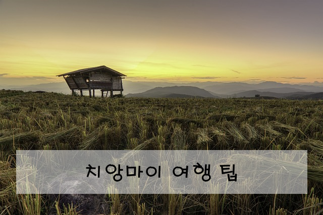 치앙마이 여행 팁