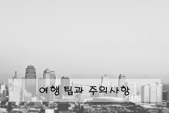 여행 팁과 주의사항