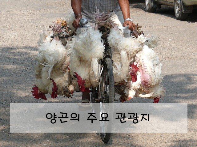 양곤의 주요 관광지