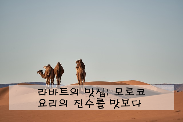 라바트의 맛집: 모로코 요리의 진수를 맛보다